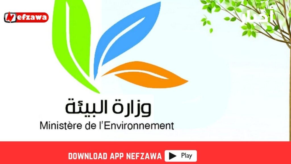 الاعتداء-على-الغابات