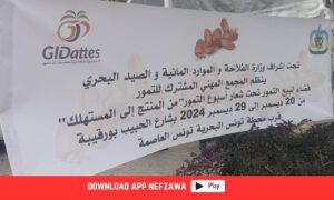 قطاع-التمور