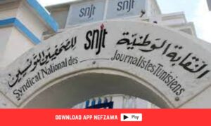 قطاع-الاعلام