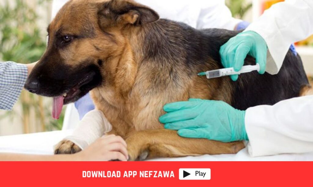 وزارة-الصحة