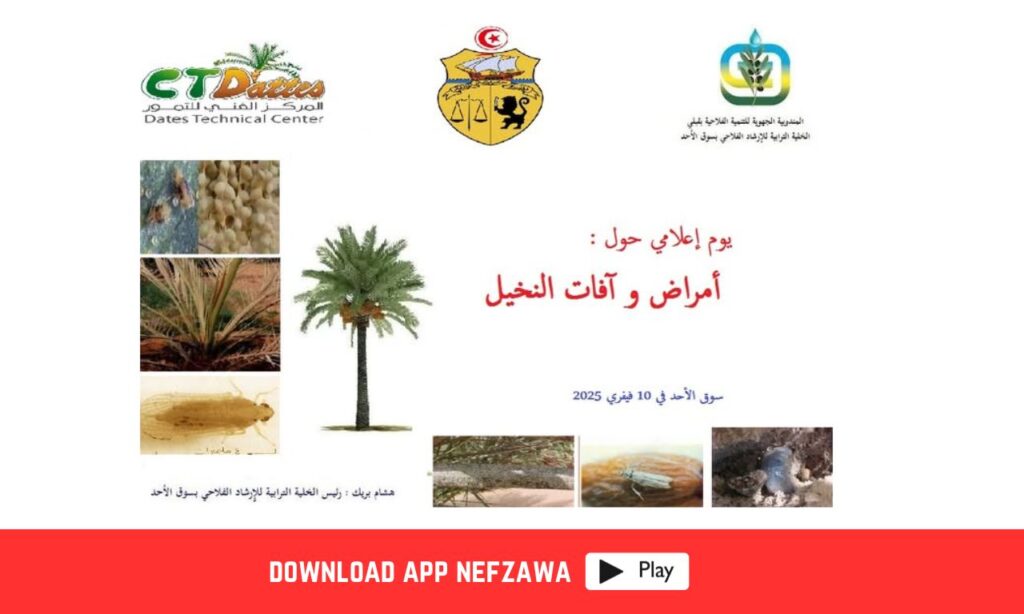 قطاع-الفلاحة-بقبلي