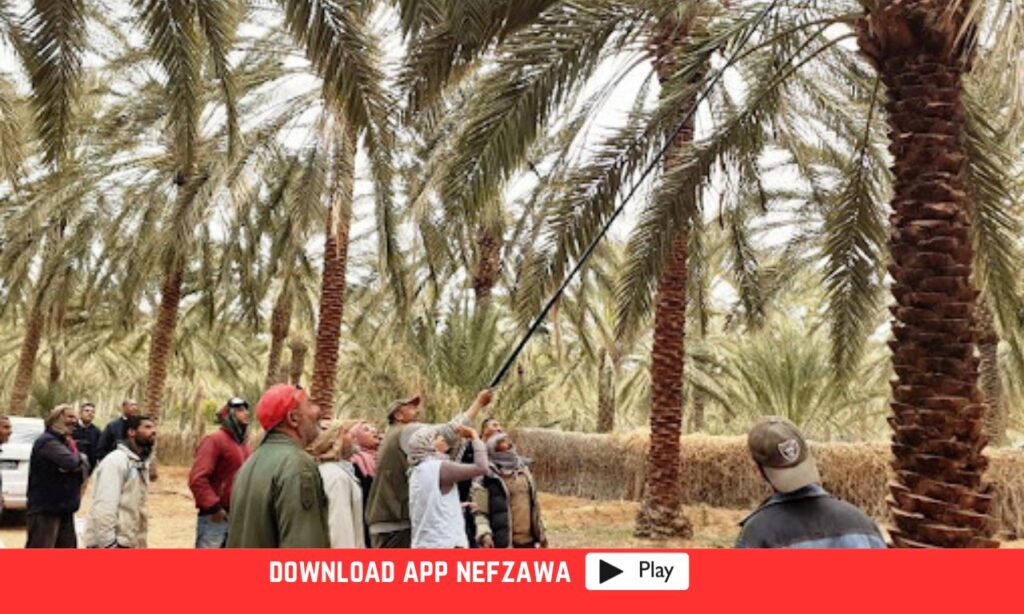 صورة -توضح-حضور-الفلاحة-للايام-الحقلية