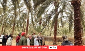 صورة -توضح-حضور-الفلاحة-للايام-الحقلية