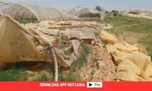 تضرر-البيوت-المحمية-جراء-الرياح