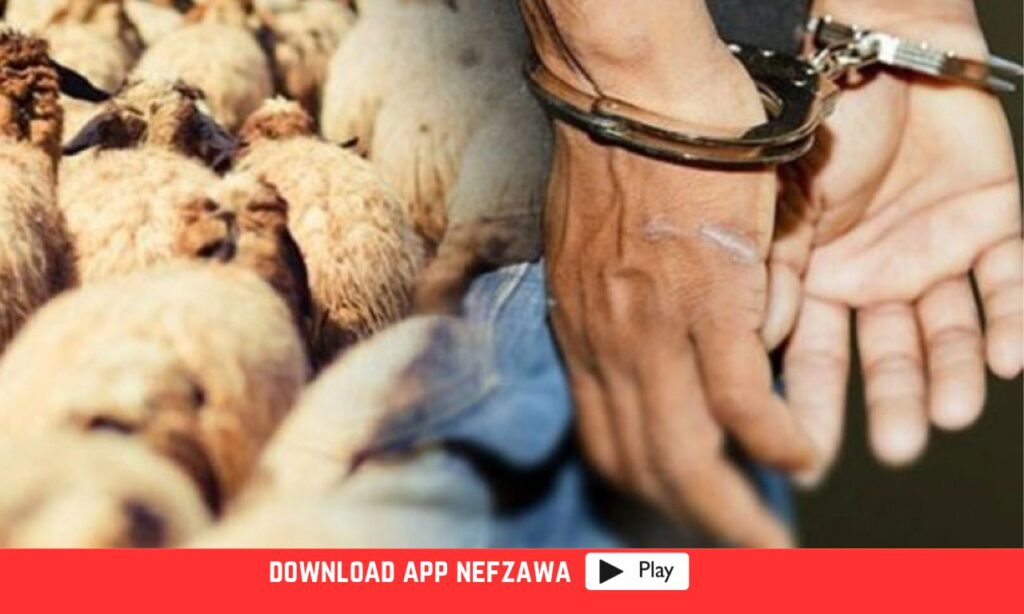 سرقة-الاغنام