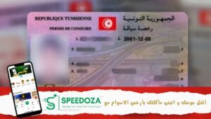 تعليم-السياقة