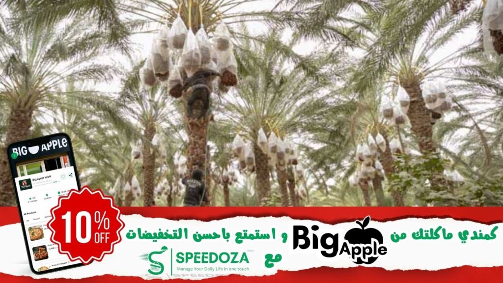 الموسم-الفلاحي