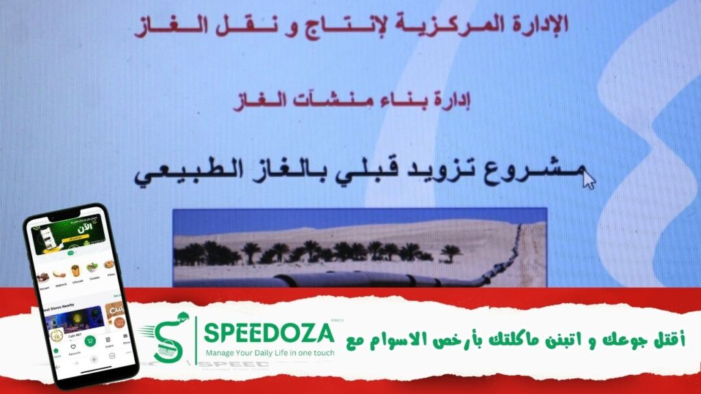 الشركة-التونسية-للكهرباءو-الغاز