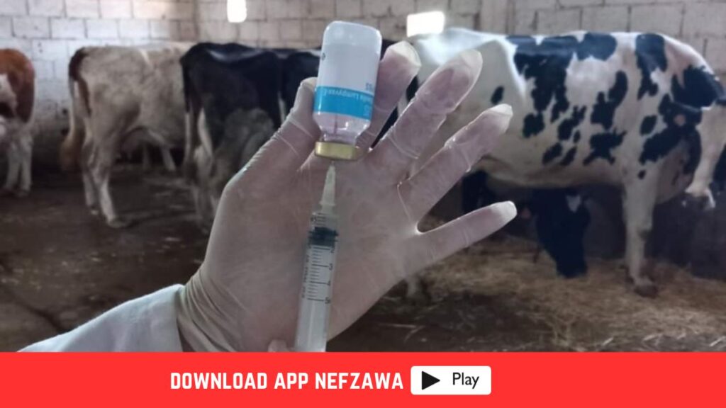 عمادة-البياطرة