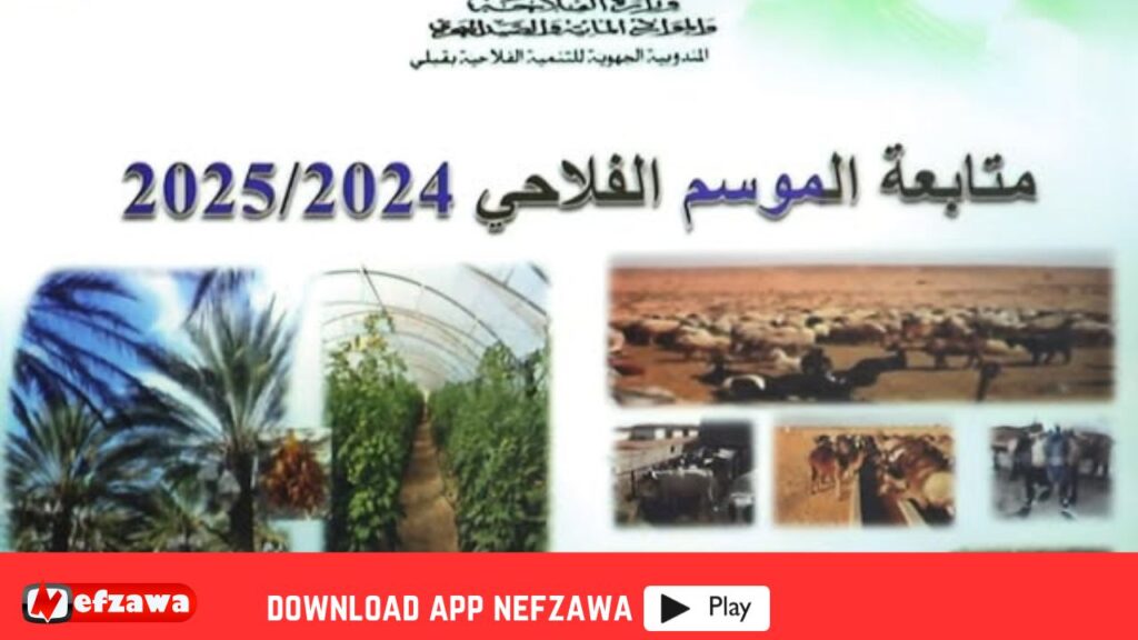 القطاع-الفلاحي-بقبلي