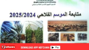 القطاع-الفلاحي-بقبلي