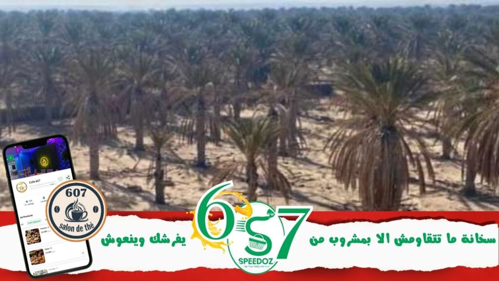 القطاع-الفلاحي