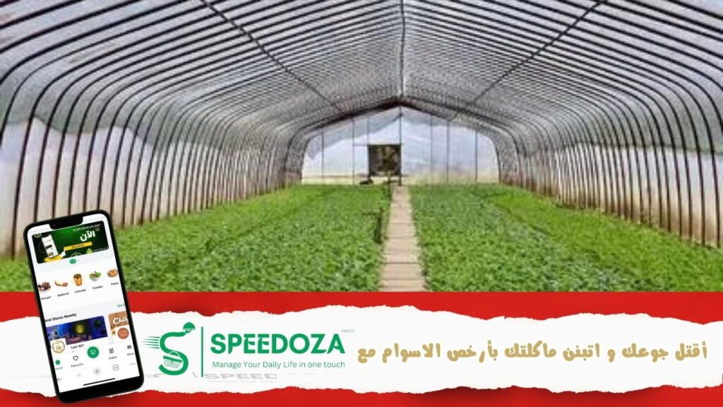 قطاع-الفلاحة