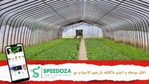 قطاع-الفلاحة