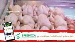 الادارة-الجهوية-للتجارة