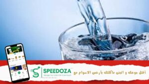 المرصد-التونسي-للمياه