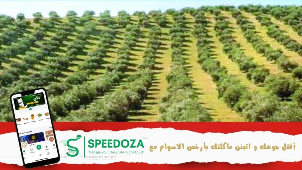 وكالة- النهوض- بالاستثمارات- الفلاحية