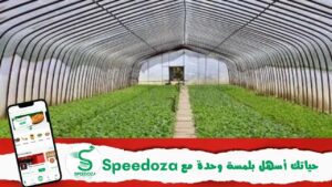 الزراعات_الجيوحرارية