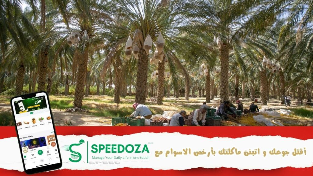 موسم-التمور