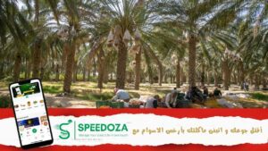 موسم-التمور