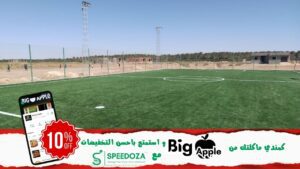 ملاعب_احياء