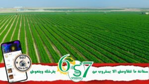 الاستثمارات-الفلاحية