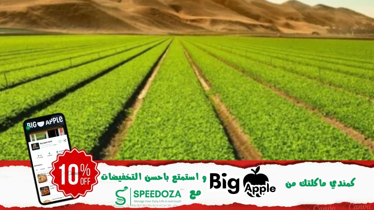 التهيئة_العقارية